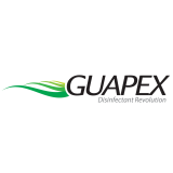 logo guapex 2017